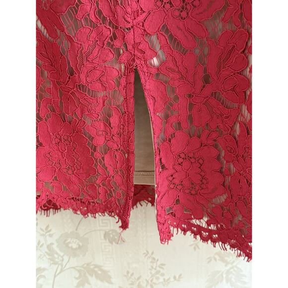 City Chic Lace Whisper Dress Sz XL 22 Raspberry Nude Midi Wedding Guest Sexy NWT - Picture 3 of 13